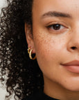 Dome Pave Hoops XL Gull