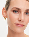 Dome Structured Hoops Small