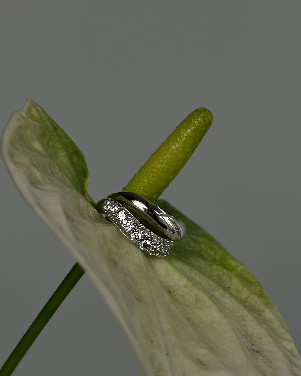 Wave Ring