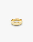 Dome Ring Gull 