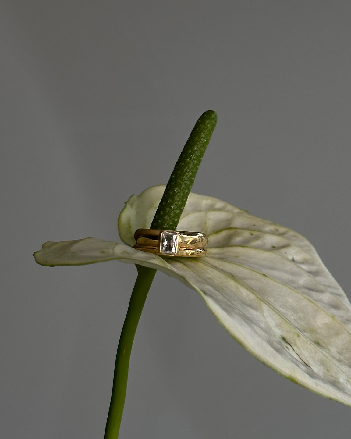 Ella Ring Gull 